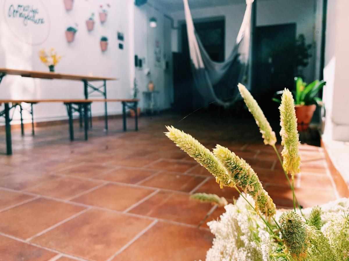 Maria Magdalena - Room 10 Malaga Ngoại thất bức ảnh